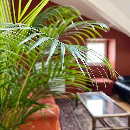 Le Triplex Terracotta Apartment Nantes